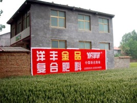 樟树如何让墙体广告展现最大化效果