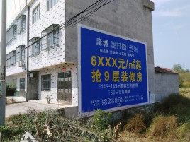 樟树墙体广告质量分析