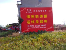 樟树墙体广告影响褪色的因素