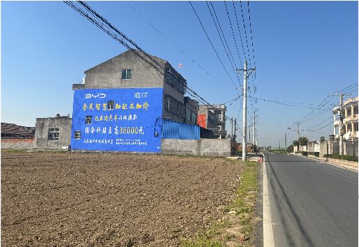樟树墙体广告用的是什么漆？