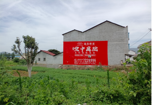 樟树做墙体广告的意义