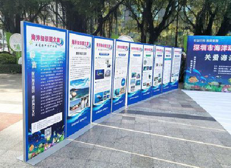 樟树KT板的种类和知识。